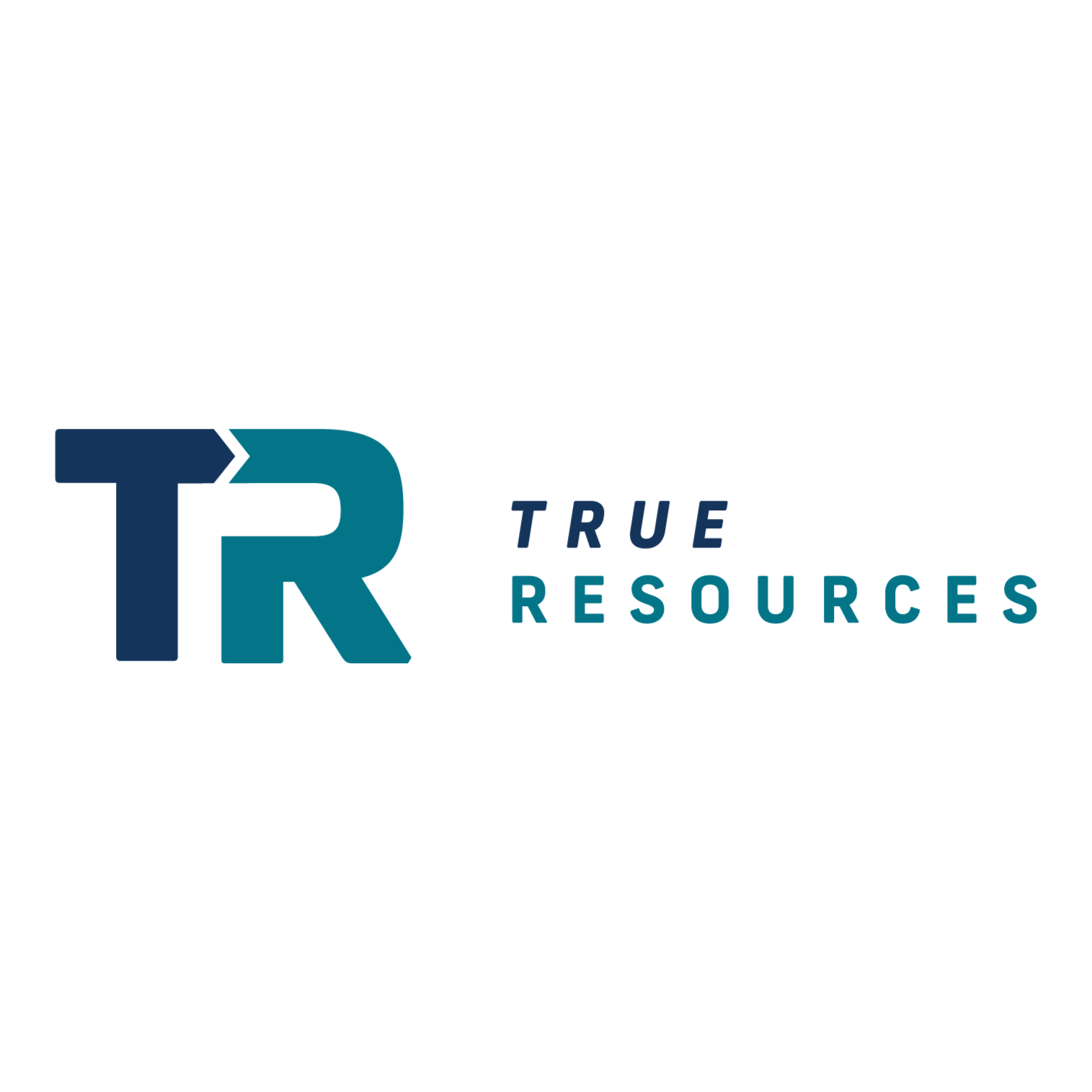 True Resources's profile picture