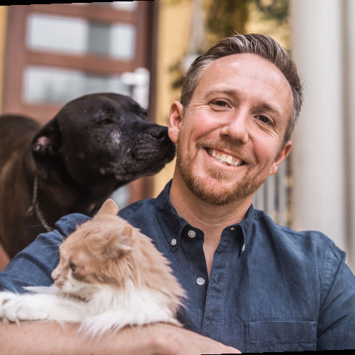 Shannon Wood's profile picture