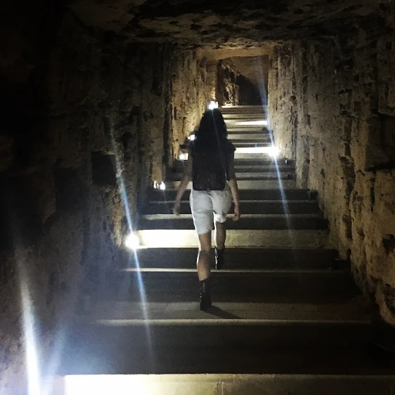 Megan Ward's profile picture