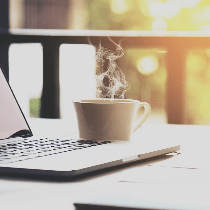 Alice Zarate's profile picture