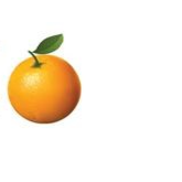 Juice Hospitality Ltd's profile picture