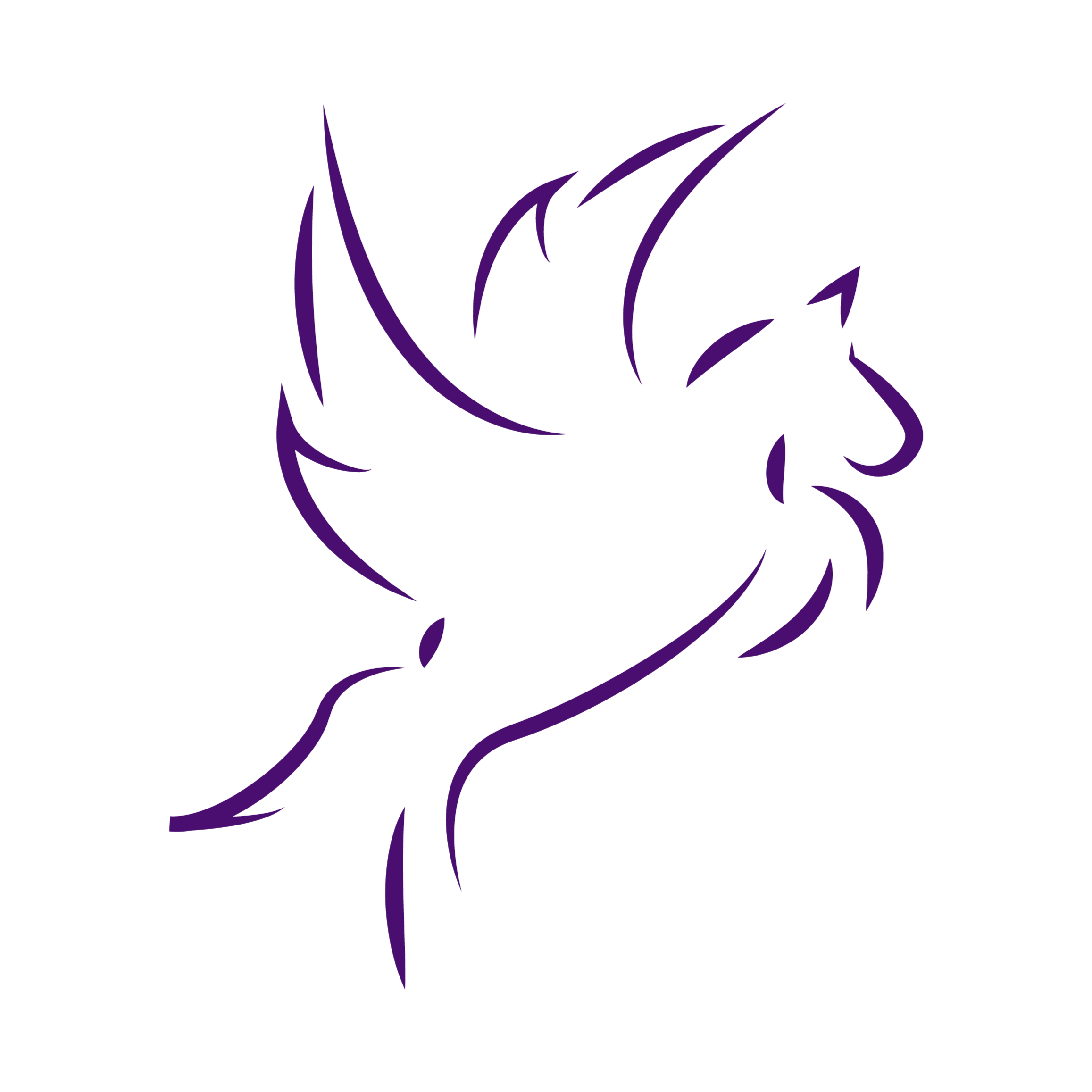 Pegasus Search and Selection's profile picture