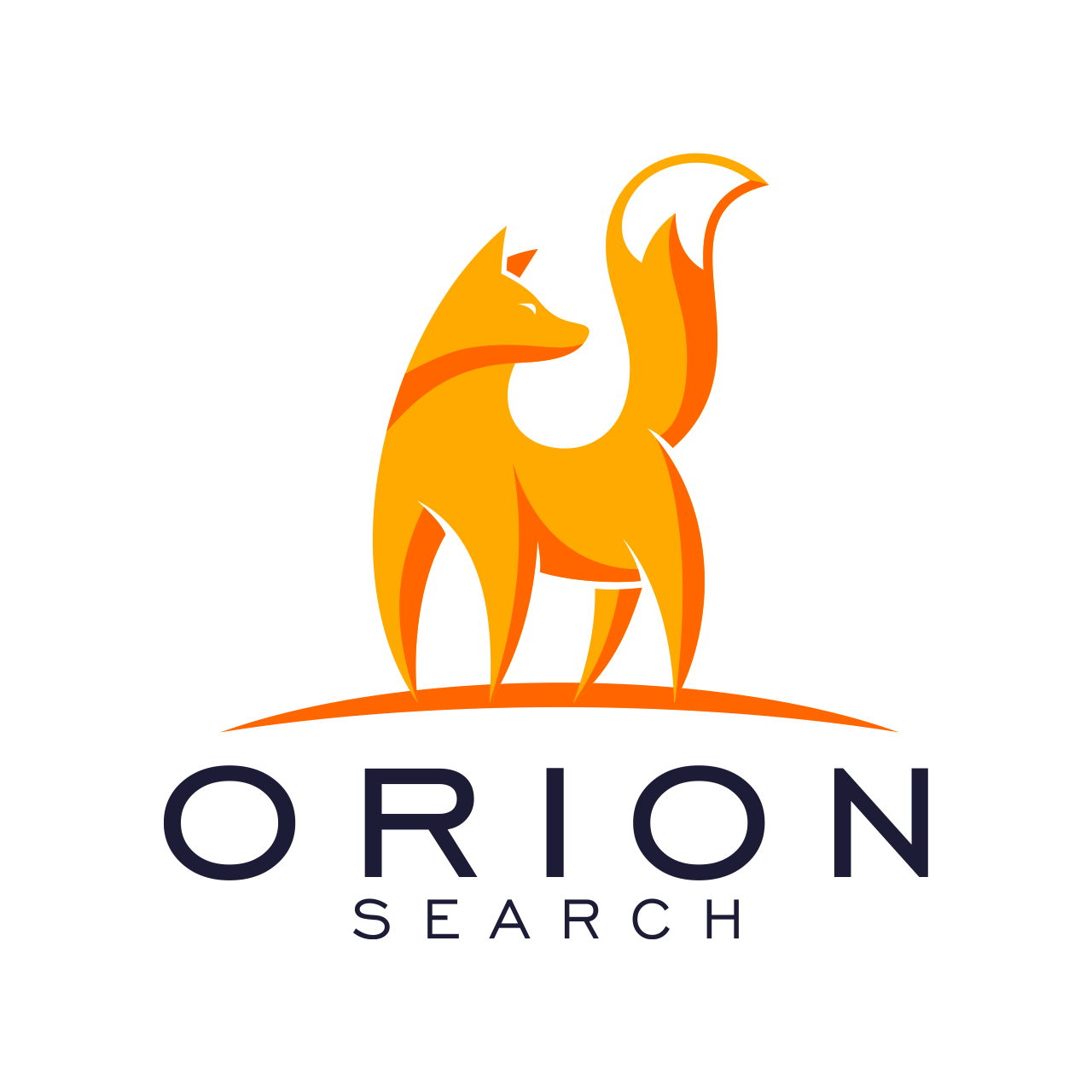 Orion Search's profile picture