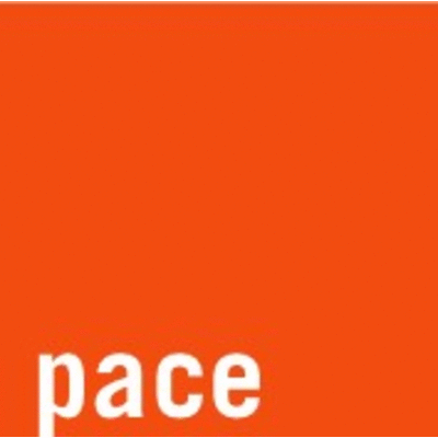 Pace Appointments (QLD)'s profile picture