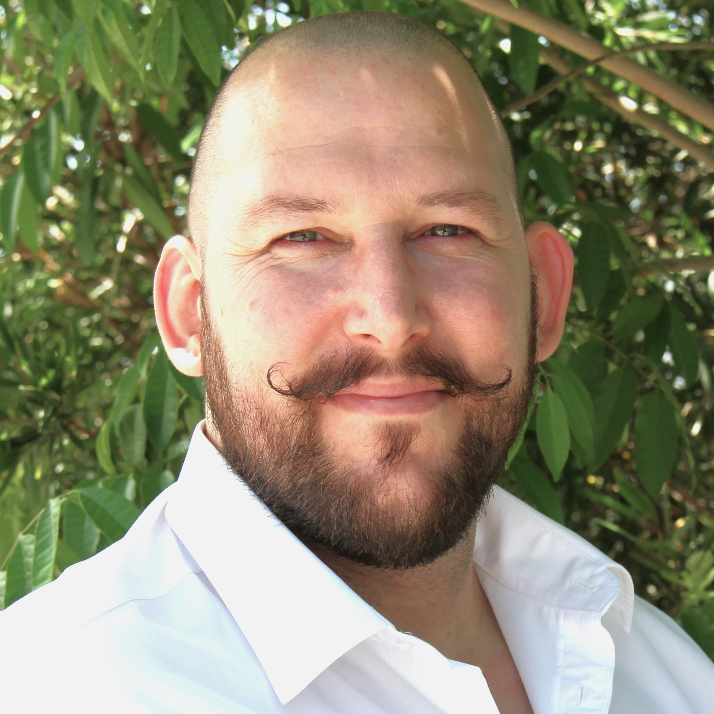 Rhys Ashwell's profile picture