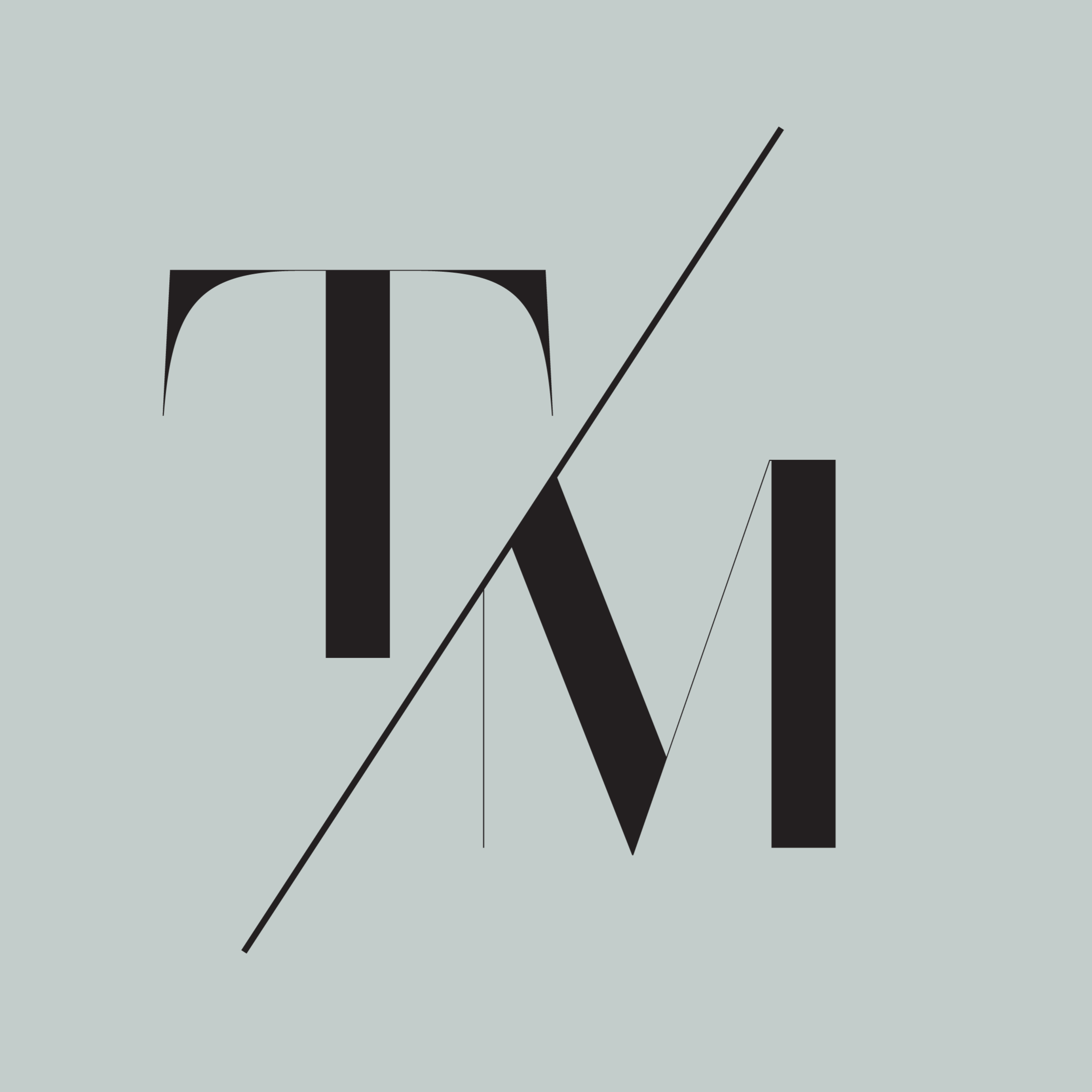 The Talent Mill AU's profile picture