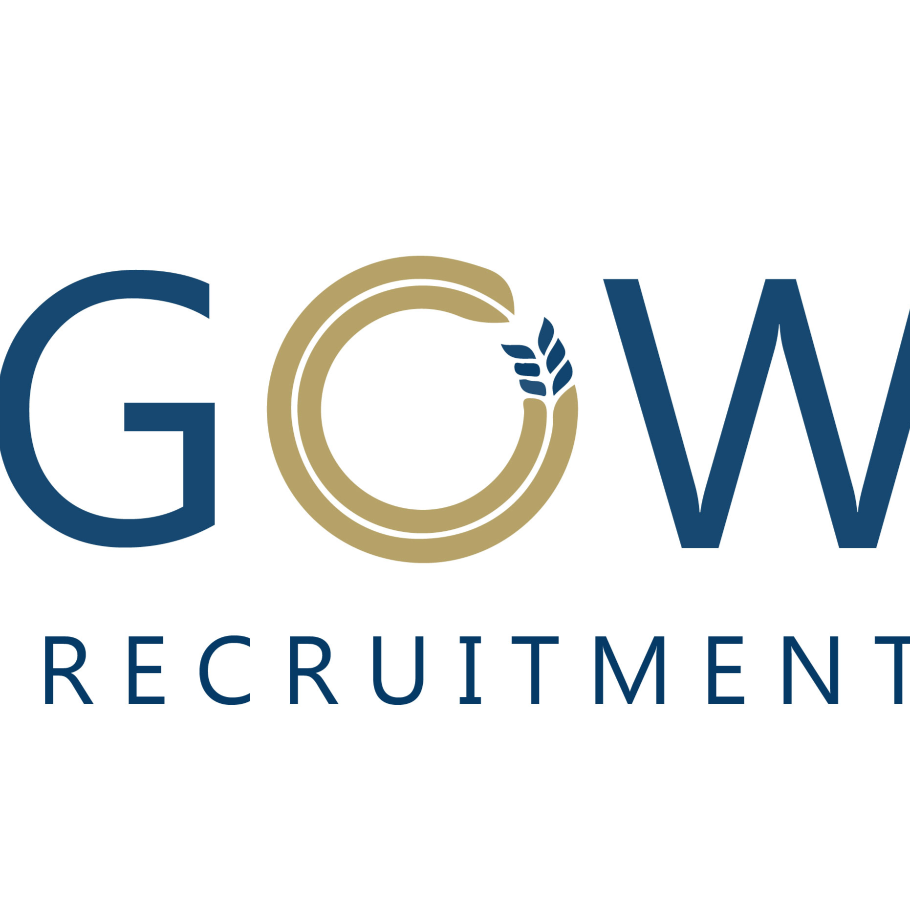 Gow Recruitment's profile picture