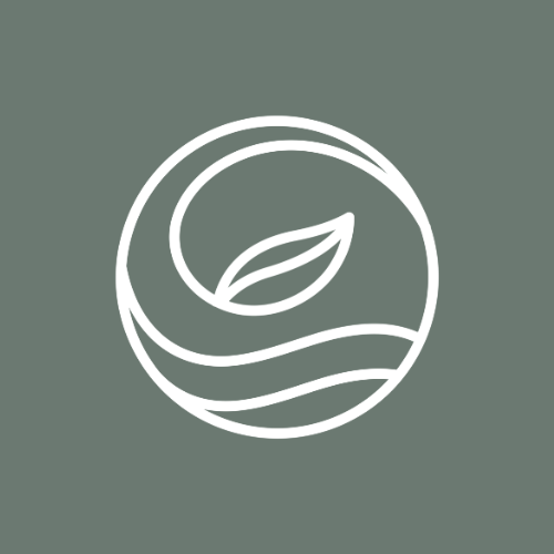 Avani's profile picture