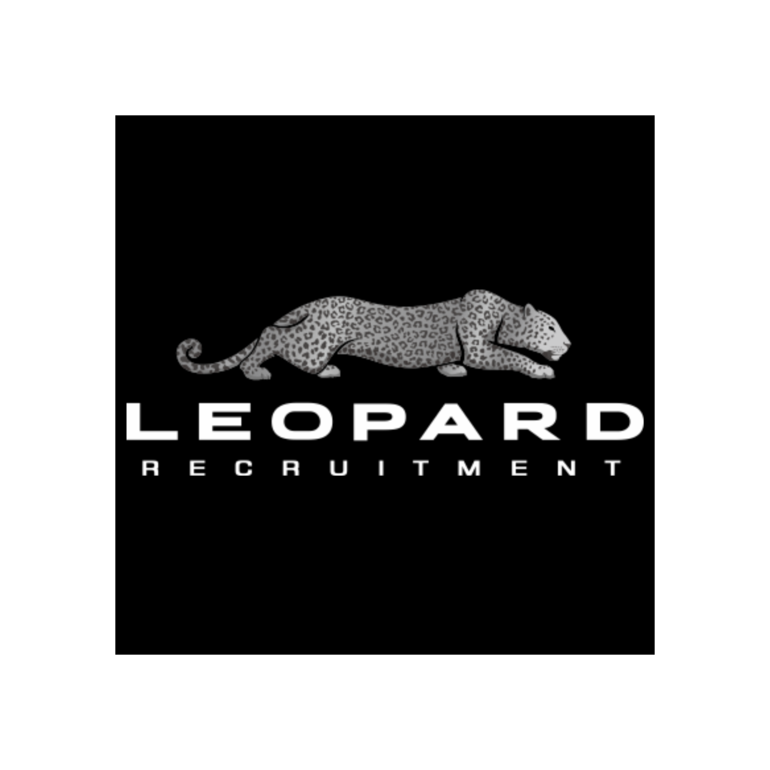 Leopard Recruitment's profile picture